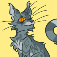 Caster Caster