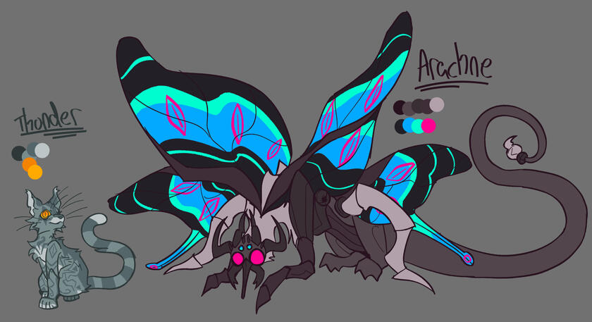 Thunder + Arachne Thunder + Arachne